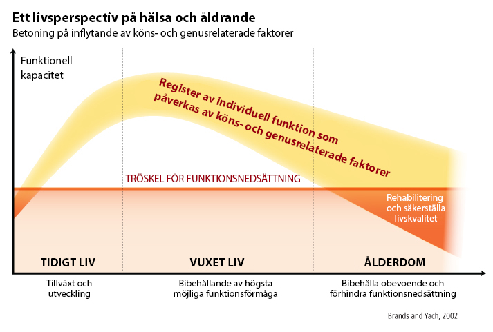 chart 2 of nutrigenomics