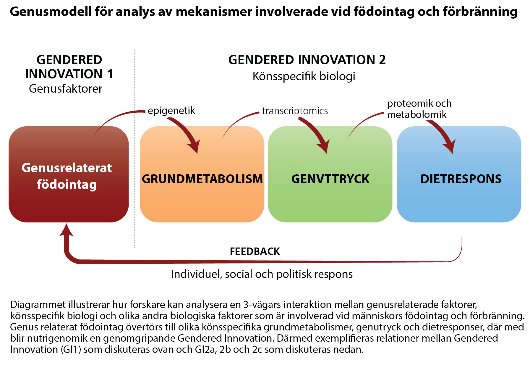 chart 4 of nutrigenomics