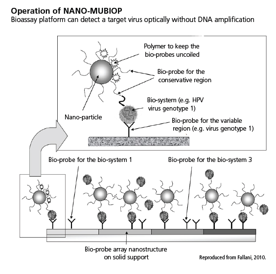 bio-probe array nanstructure on solid support