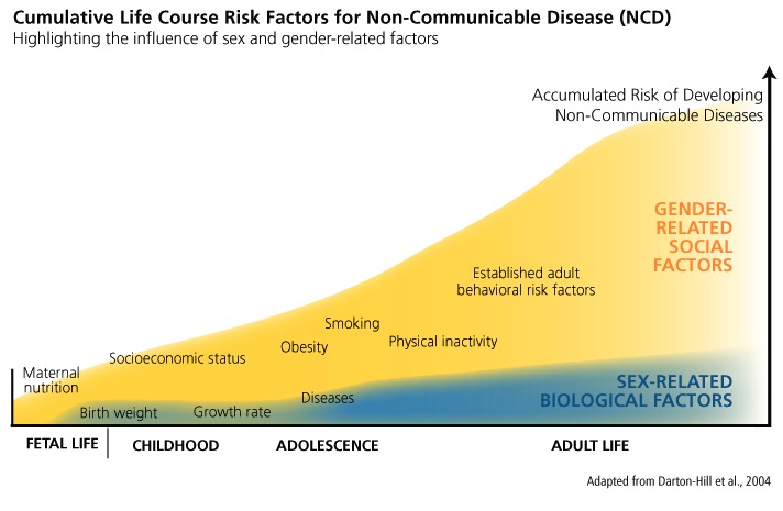 Life course